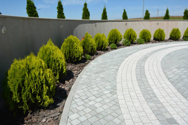 Best Concrete Paver Driveway  in Cao, ND